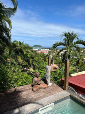 Terrasses avec vue Ilet Ramier